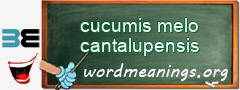 WordMeaning blackboard for cucumis melo cantalupensis